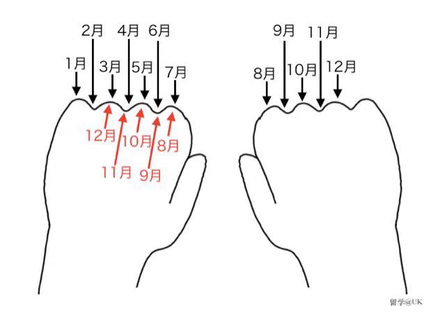 今月は30日？31日？カレンダーがない時はこぶしの骨で数えなかったっけww