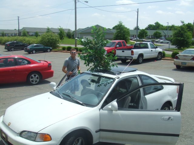 CivicHalf's tweet photo. #throwbackthursday 
I have soooo many questions... 🤔🤔😂😂😂   then again this was  from the early days of college.. so I'm not surprised 😂 
Zero chance this was the first ficus tree ThaCounty stole that day 😂😂 #halfmil https://t.co/toCnAuFsFf