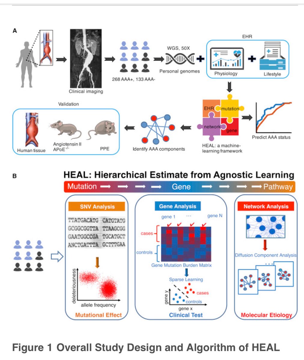 #ML #Genomics #PrecisionMedicine #MachineLearning #EHR #Aneurysm #WholeGenome #EMR #HealthCare #Genome @CellCellPress 
cell.com/cell/fulltext/…