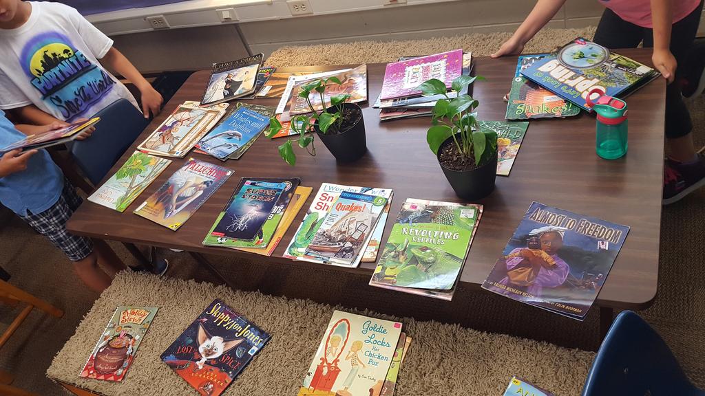 rachael_t27's tweet photo. Reorganizing our classroom library was next on the agenda. We need to know where to find engaging books! #sdwpositiveimpact #sdwlit #goheyer #vamosheyer https://t.co/3QI3PTqxvU