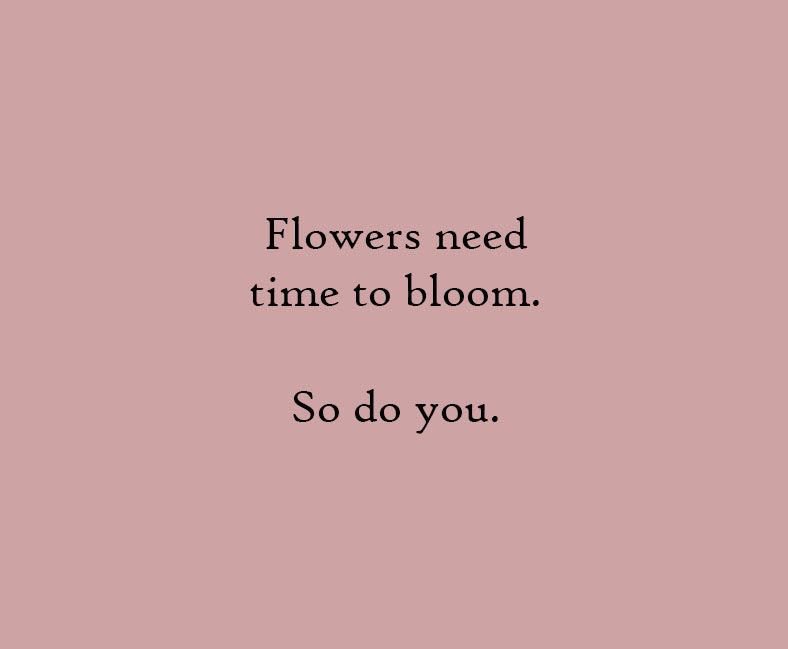 PoemHeaven's tweet photo. so do you 🌹 https://t.co/sZr7PowfWj