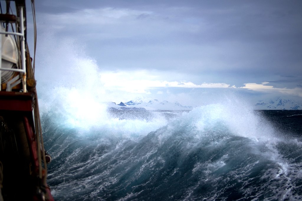 ANZ_bluenotes's tweet image. Weathering life’s storms anz.co/QDnk30lIDnM @davidhisco_anz #MoneyWeek2018