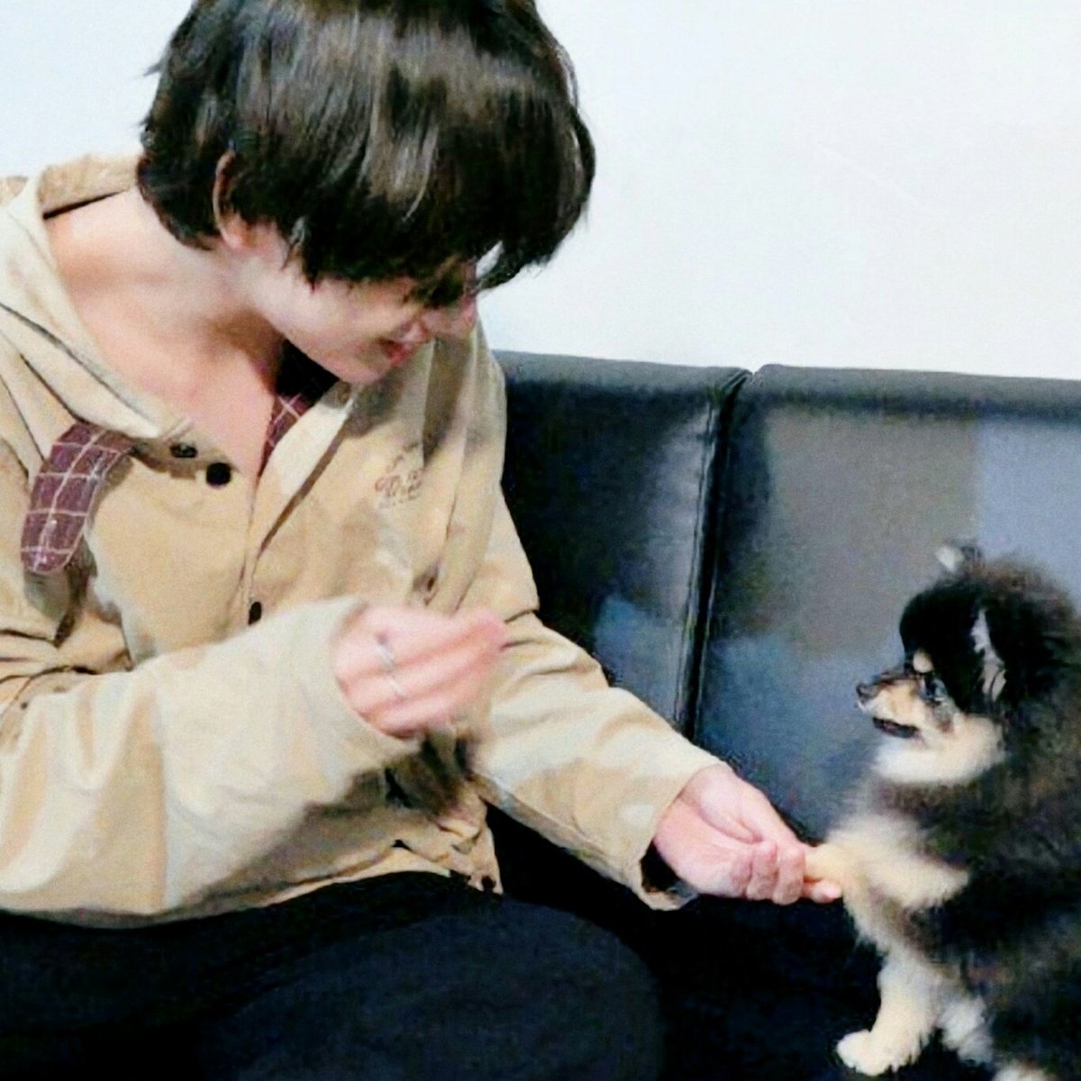 onlyv_95's tweet photo. 180907🐶 #연탄아_생일축하해_왕왕 #연탄생일ᄎᄏ 💜💜💜💜💜 @BTS_twt https://t.co/ArO6TL8fVE