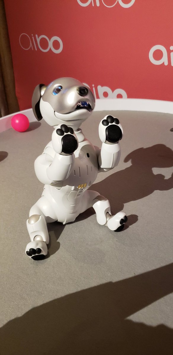 HildaEsq's tweet photo. I'm in love ya'll...with @aibo_jp! You with me @LSahba? #Dearsanta #NowYouKnowSony https://t.co/wNWcX5Ilvz