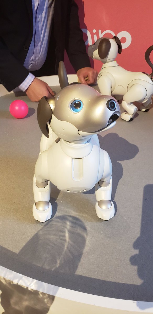 HildaEsq's tweet photo. I'm in love ya'll...with @aibo_jp! You with me @LSahba? #Dearsanta #NowYouKnowSony https://t.co/wNWcX5Ilvz