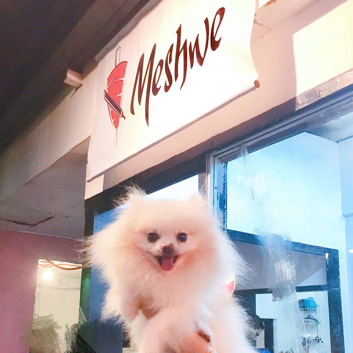 rizziwizzi's tweet photo. Braved last night’s rain and traffic for some shawarma and quality time with the girlfriends! 🌧❣️ #heysaltsisters #meshwe #zcompound https://t.co/ljKGCI3rFa