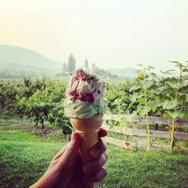 VisitWestside's tweet photo. It still feels like summer out there! Ice Cream @payntersfruitmarket. #visitwestside .
.
.
#icecream #stillsummer #westsidefarmloop #explorebc #okanagan #westkelowna #okanaganlife #kelownanow https://t.co/yZxQcRGUGI https://t.co/aLUTUJ0YGG