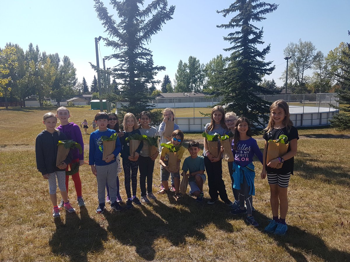 Garden club continues! Soon we will switch to indoor gardening for the winter, but for now we can't get enough Swiss chard <a href="/connectcharter/">Connect Charter</a> 🤗