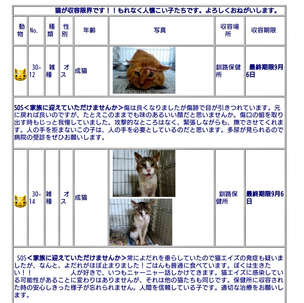 きよみ on Twitter "🚨🚨緊急🚨🚨里親急募 北海道 釧路保健所収容 北海道は、大変な状況だと思います