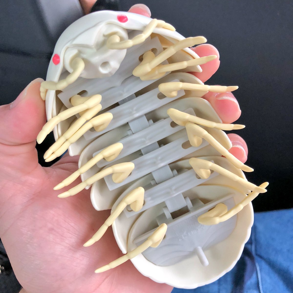アルビノダンゴムシ