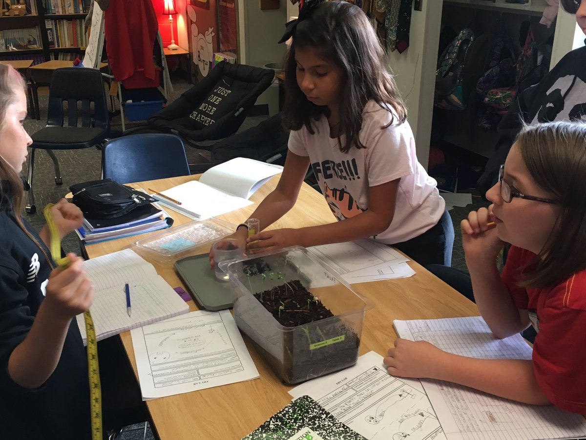 RosemeadeElem's tweet photo. Scientists hard at work! Making predictions, recording data, and drawing conclusions with living terrariums! #FryLab #RosemeadeSoars #CFBISD https://t.co/zXAvDcfx3a