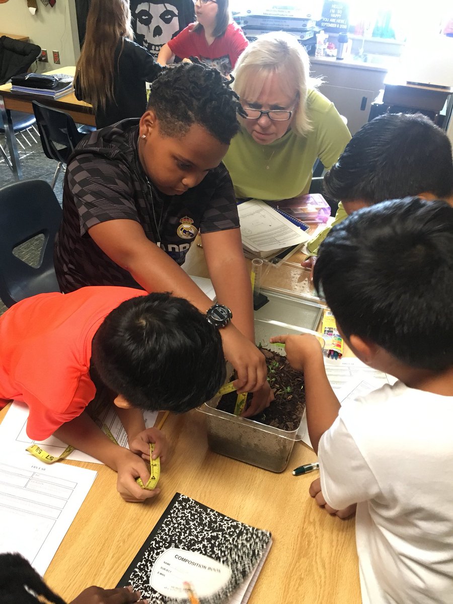RosemeadeElem's tweet photo. Scientists hard at work! Making predictions, recording data, and drawing conclusions with living terrariums! #FryLab #RosemeadeSoars #CFBISD https://t.co/zXAvDcfx3a