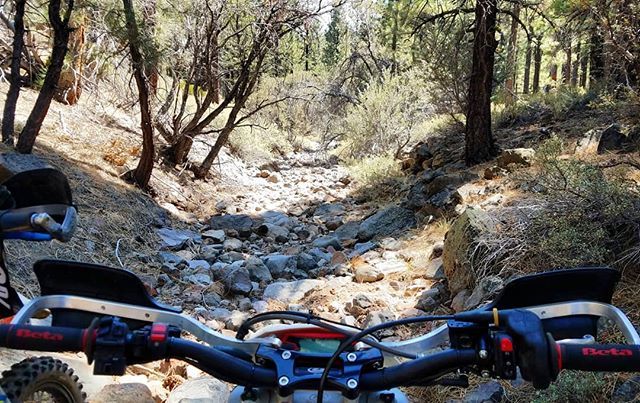 Found this nasty little creek bed the other day, it was so fun we had to bail out early and save the rest for later... 😓🤣
.
.
.
.
#CarinaTheBeta #MotoNVoffroad #Moto #Enduro #ExtremeEnduro #HardEnduro #OffRoad #OffRoadMoto #Hillclimb #Motoclimb #Tria… instagram.com/p/BnaMoQbBdHu/