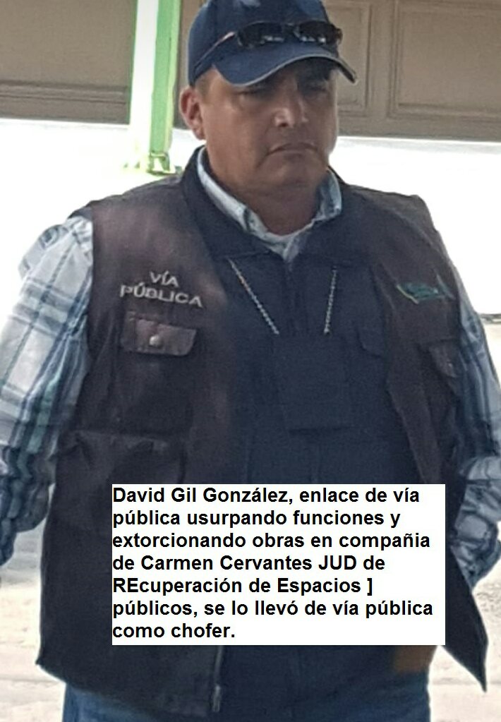 perla martinez tweet media