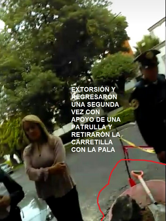 perla martinez tweet media