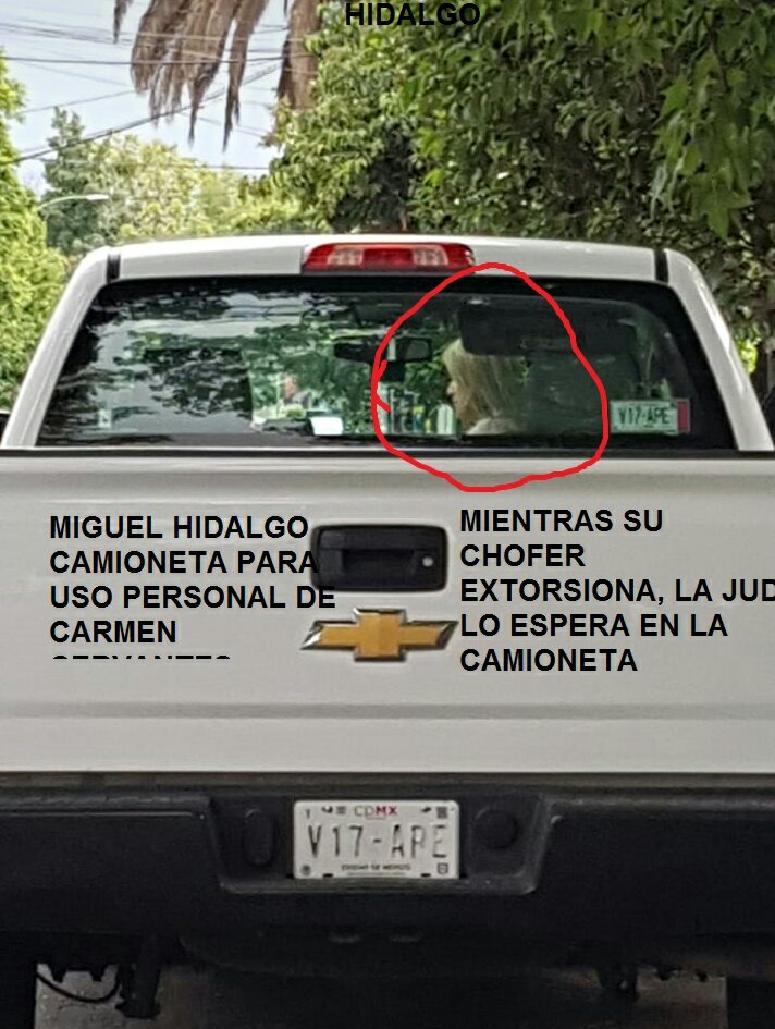 perla martinez tweet media