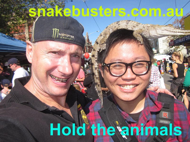 Snake Handler (thesnakehandler) Twitter