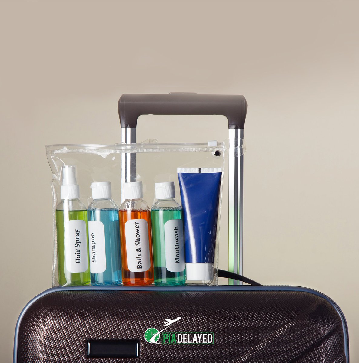 pia hand luggage size