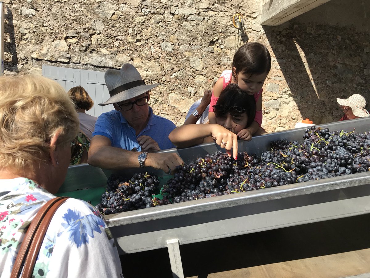 Deuxième temps fort de la journée, le tri, foulage et pressurage du raisin ! Avec les explications d’Alban, directeur du domaine. L’auditoire est captivé et tout le monde met la main à la pâte ! #vendangespeyrassol #vendanges2018 #vinification #peyrassol
