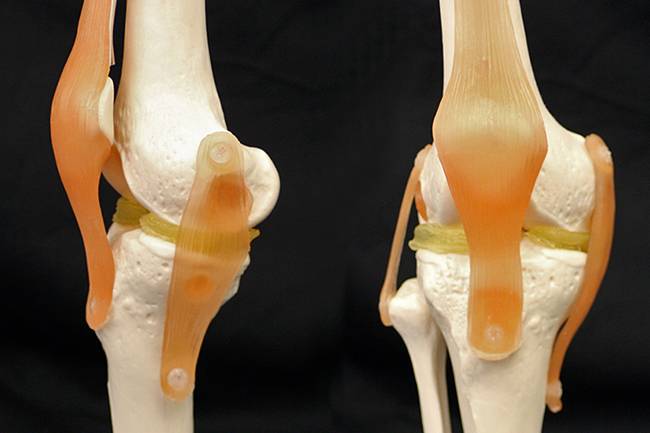 MedBiotechnol's tweet photo. #Virtual 3D-printed #Surgical model improves #Bone regeneration
https://t.co/lVTGREOFKh
Call for Manuscript: Journal of Medical Biotechnology. Submit your paper to medbiotech@emedicalscience.com (or) direct contact via twitter. https://t.co/s4VjT7eV5y