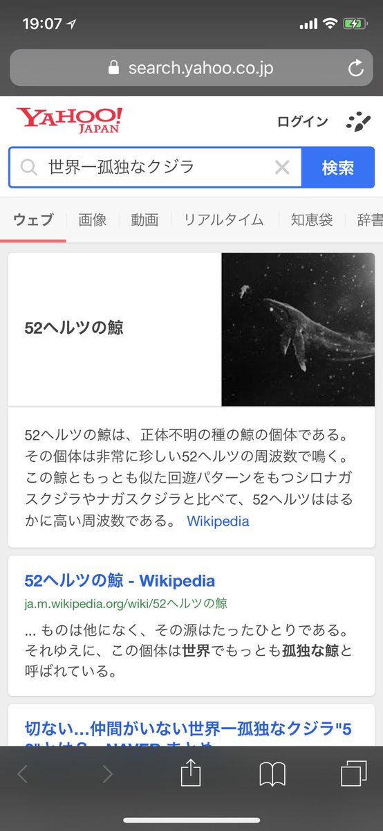 世界一孤独な鯨