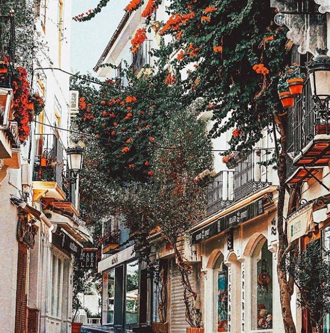 viveandalucia's tweet image. La belleza de #Marbella va más allá de Puerto Banús. Cuando vengas además de su puerto da un paseo por sus preciosas calles, te sorprenderán. 
#viveandalucia #intensamente #Andalucia #VisitSpain #CostadelSol #Malaga ow.ly/xtgV30lILPT