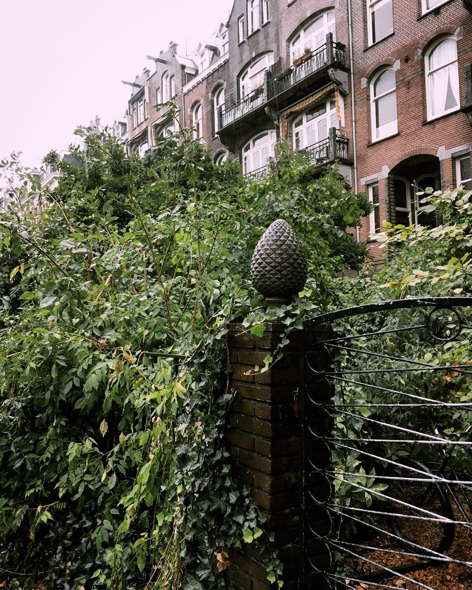 amsterdamming's tweet photo. Amsterdam, the lost paradise 🌿#amsterdam #Plants #garden #photography https://t.co/eaJTe8T5SN