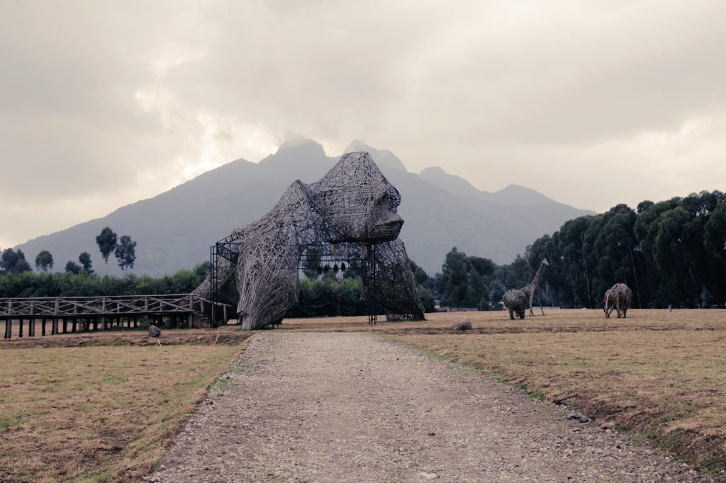 This year’s #KwitaIzina ceremony is going to leave an everlasting memory to participants expected at the event today. #KwitaIzina2018 #VisitRwanda
📸 <a href="/Isumbabyose/">RIO</a>