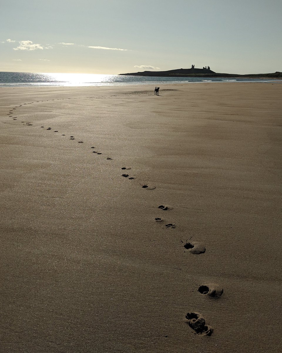 Kidsofthewild2's tweet photo. Wild for solitude! Happy Friday everyone. Me & the boy (follow the paw prints to spot him!) out walking yesterday morning #KidsoftheWild #DogsoftheWild #Northumberland #beach #castle #dogwalking #GetOutdoors #walking #metime #selfcare @VisitNland https://t.co/6WNMC0fTiM