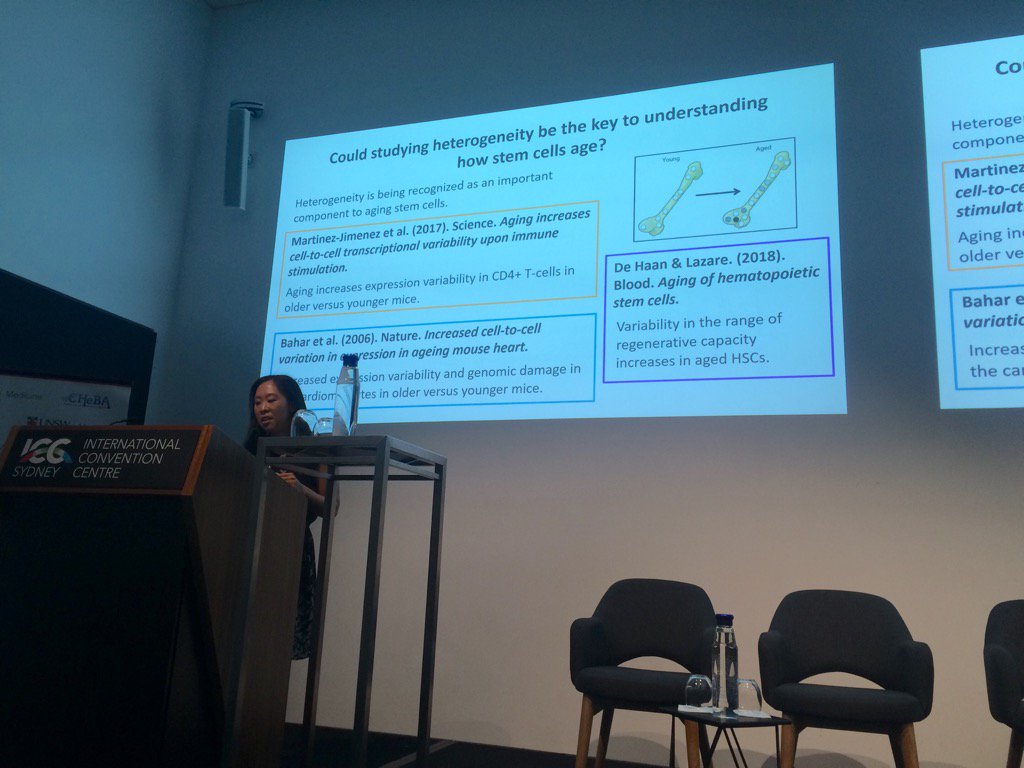 CHeBA_UNSW's tweet photo. A/Prof Mar from @UQ_News - #heterogenity now recognised as important component to ageing stem cells #livingto100 https://t.co/6jcuP39JqJ