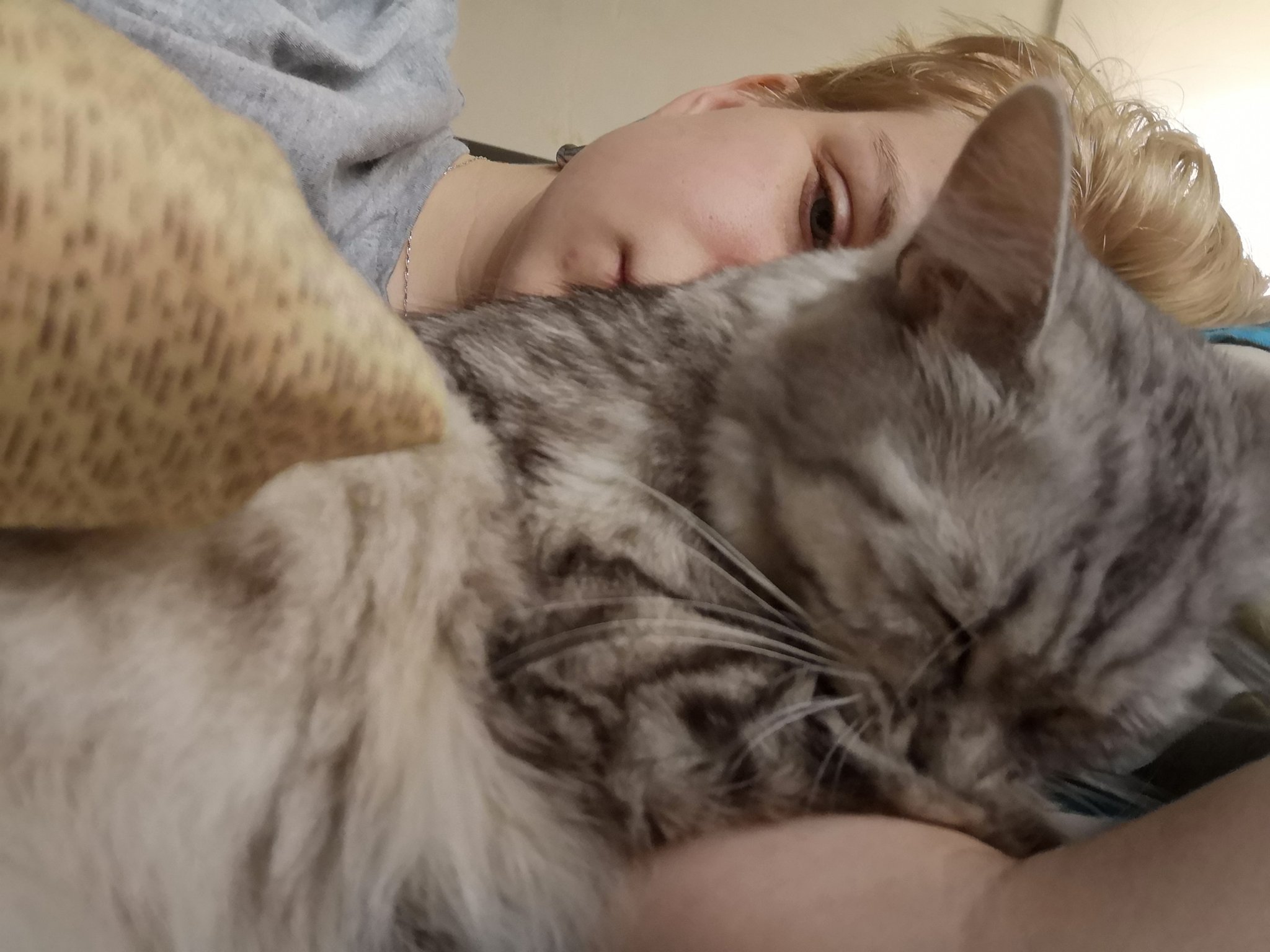 Сосет лапу котенок