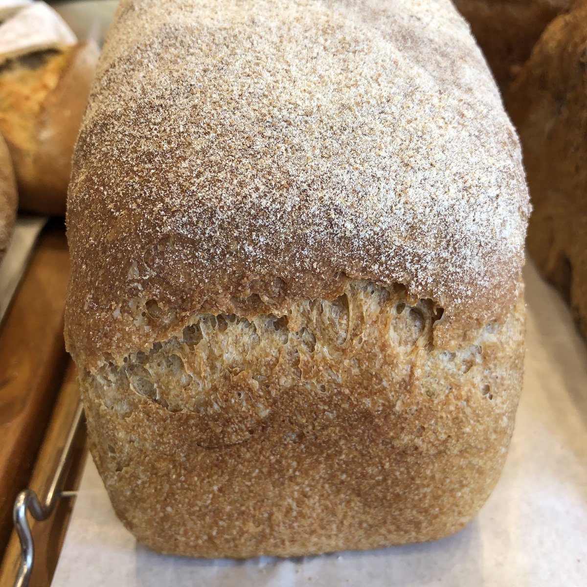 kronekr's tweet photo. [크로네 100% 통밀빵과 검은콩 통밀빵 업그레이드]
3개월 동안 연구를 거쳐, 100% 통밀빵을 더 길게 저온 발효함으로써, 맛과 풍미를 깊게 하였습니다. 
천연발효의 신맛을 더욱 풍부하게 느끼실 수 있습니다^^
  https://t.co/mWqW4C60pJ  #크로네 #100%통밀빵 #100%호밀빵 #건강빵 #통밀빵 #호밀빵 https://t.co/gWkUgvQaDW