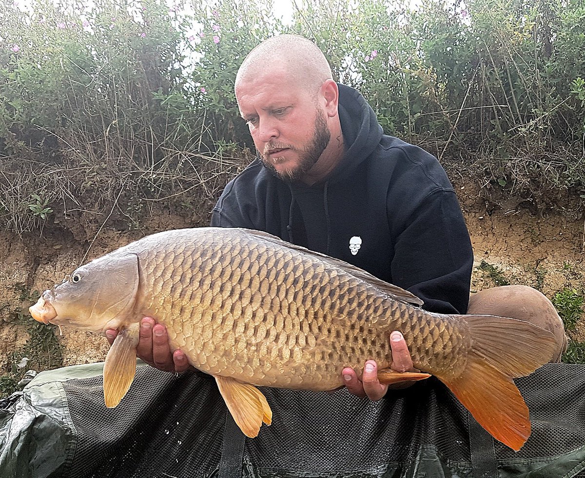 kevomancarper's tweet photo. 3 fish out to 19.4lb using WLM BAITS KO1 with hemp and maize. Paired with HOBO armour size 6 twister hook, 20lb black coated armour hook link and components #nailed #teamwlmbaits #teamhobo #teamrhino 
@WLMBaits @HoboArmour @Rhino_tech0 https://t.co/C3YgfBAW7G