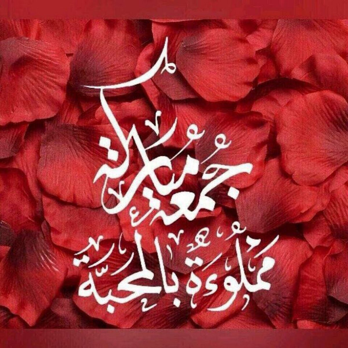 no__or__93's tweet photo. #جمعة_طيبة https://t.co/QSStGwCH6c
