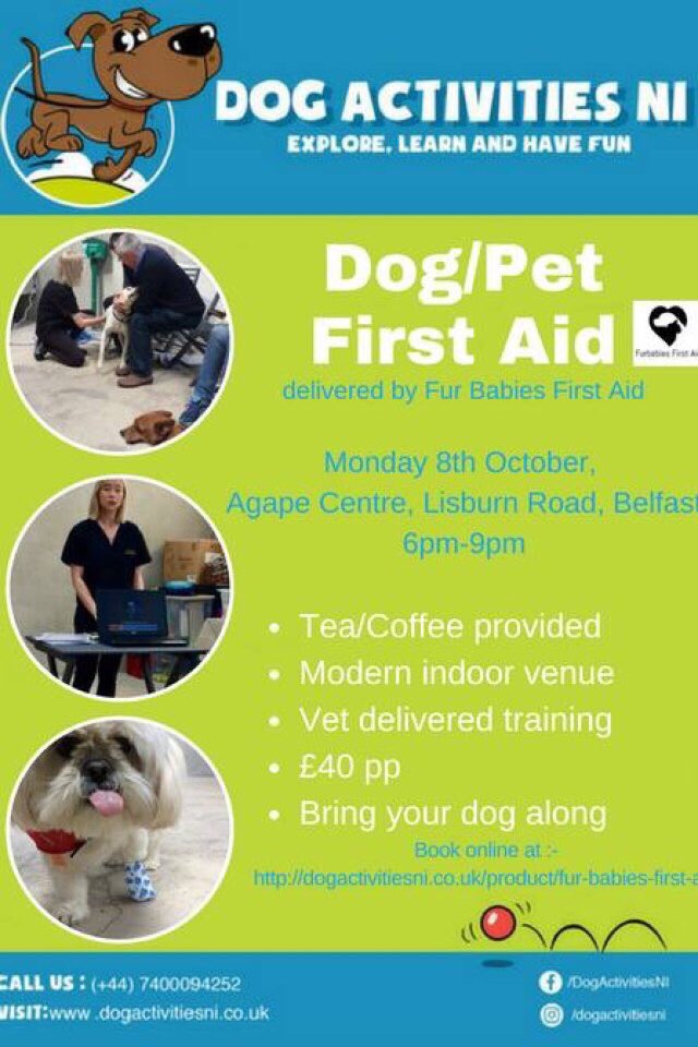 Monday 8th October #petfirstaid course with Vet Aoife Morrow. Book online dogactivitiesni.co.uk #dogs #firstaid #belfast
