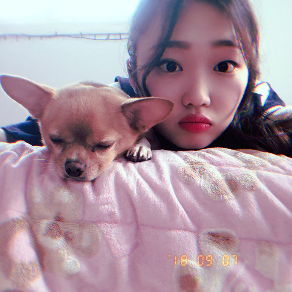 dyoreee's tweet photo. He's with me peacefully ✌️ @bubblyboyoung @terrysongtv https://t.co/Thehibb3pO