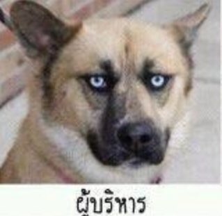 มิลค์เศษใจ tweet media