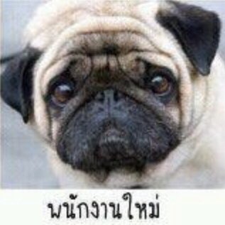 มิลค์เศษใจ tweet media