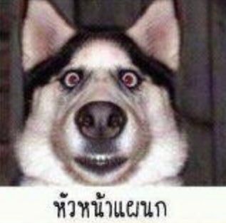 มิลค์เศษใจ tweet media