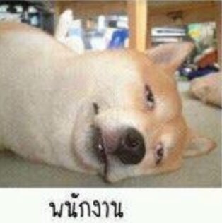 มิลค์เศษใจ tweet media