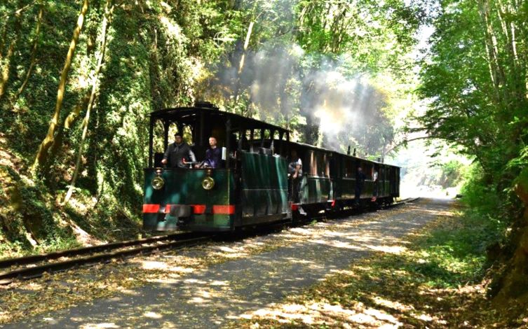 FRB_KBS's tweet photo. Une #locomotive de 1888 restaurée grâce au soutien du Fonds pour la mémoire du chemin de fer vicinal. À découvrir à #Thuin lors des Journées du #Patrimoine en Wallonie les 8 et 9 septembre https://t.co/BoTL7F4LbV © G. Pierart https://t.co/bTZC1DyW5T