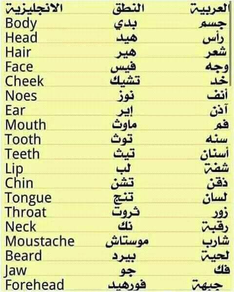 شعاع الكعبي (@salamhm3) on Twitter photo 