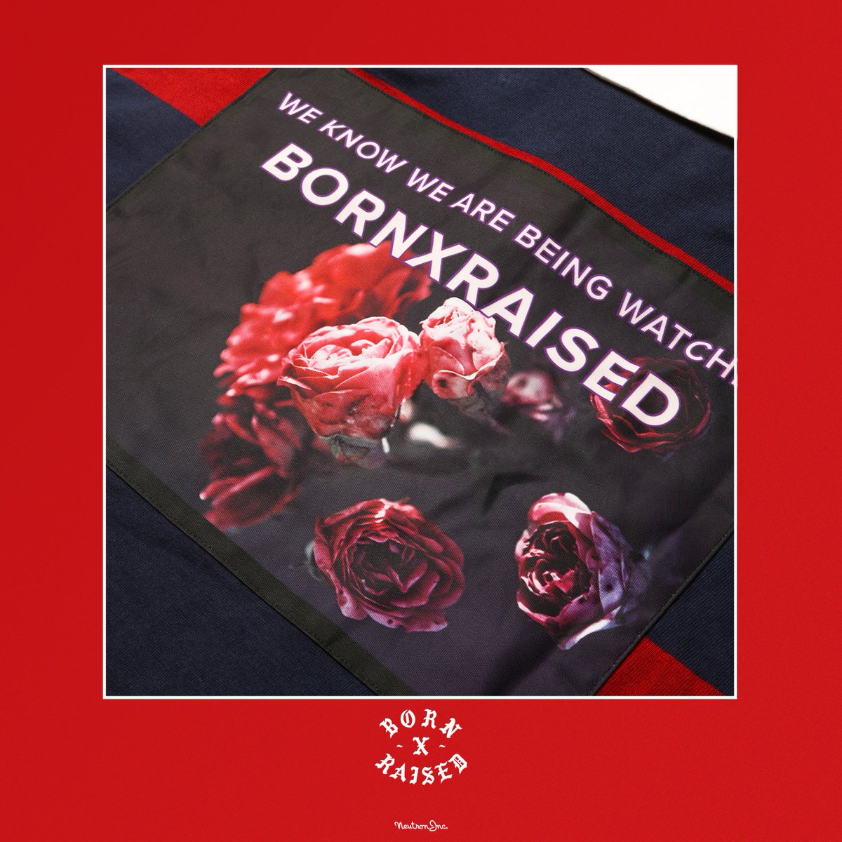 NEUTRON_OFFICIAL tweet media