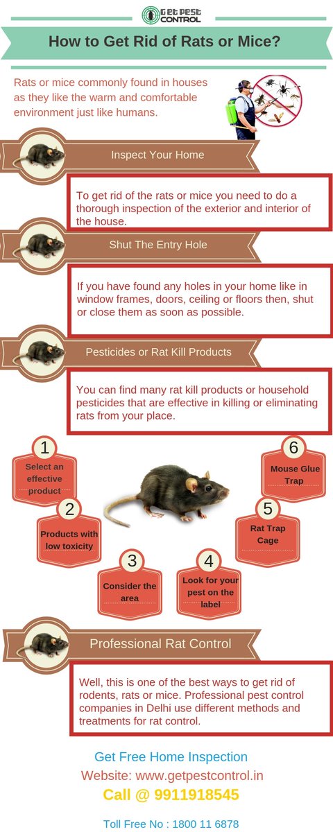 Getspestcontrol Hashtag On Twitter