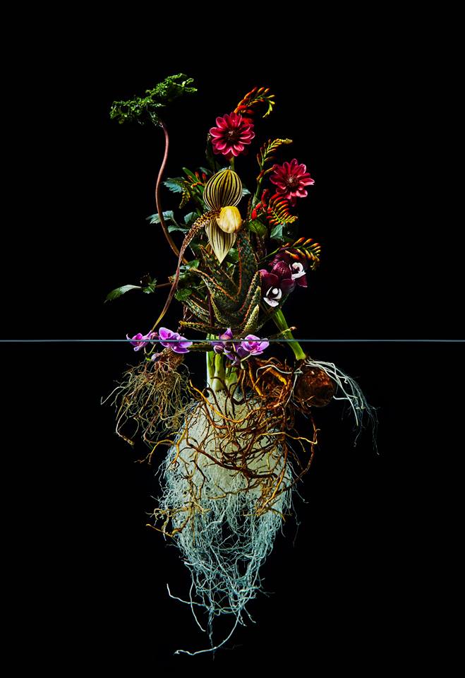 Floristicplanet's tweet photo. Azuma Makoto #floral #florist #флорист #флористика https://t.co/PmM8kHVhup
