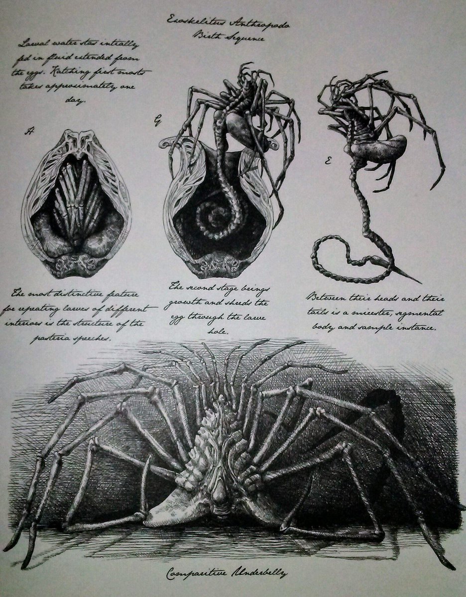 pyero33's tweet photo. Incredible and horrifying images taken from the box book: 'AlienCovenant' David's Drawings. π΅π‘π
#DaneHallett #MattHatton https://t.co/BMqKmfe6yv:
https://t.co/TykEfQ5iwv https://t.co/XeYjnByyuW