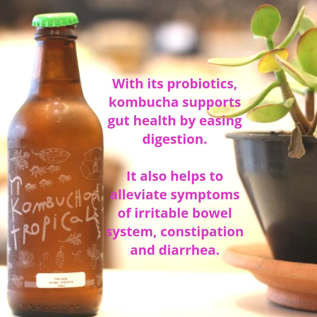 longevitymag's tweet image. Who doesn't love a cup of #kombucha?

Follow the link for more on this #fermentedtea #probiotics 

bit.ly/2w98USJ