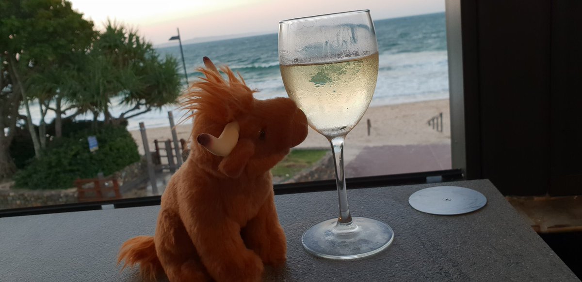 leeannewhitaker's tweet photo. Time to wind down after an amazing 3 days at #RCSAConf thank you Noosa! #KyloeCowLife https://t.co/RPaPAbLO45