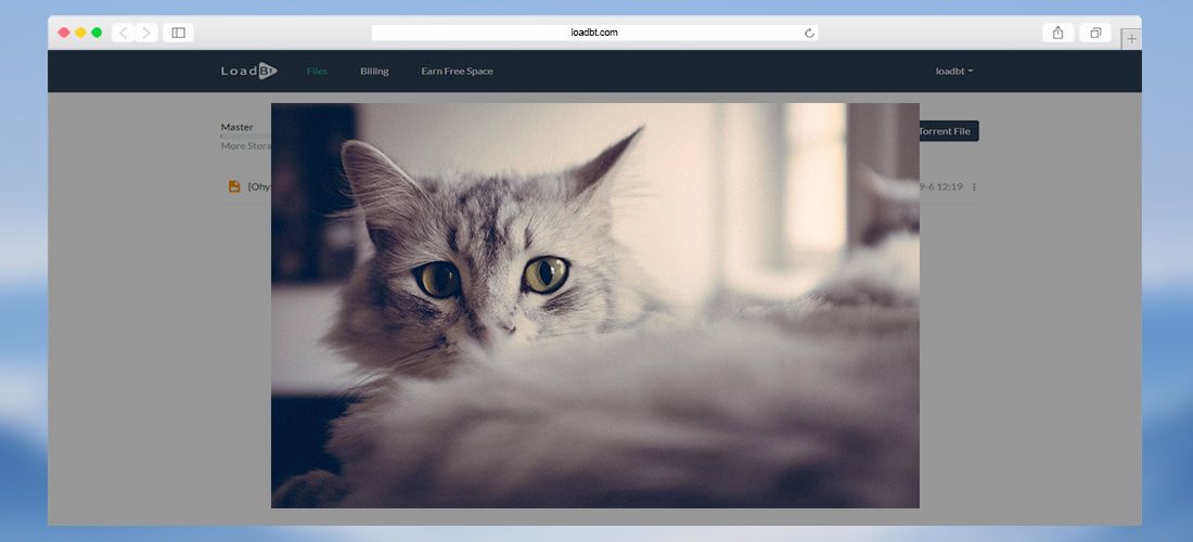loadbt's tweet photo. Loadbt now supports image browsing. https://t.co/vFJU2TIpq1