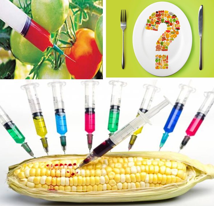 Kirengasezisoni's tweet photo. #HowWillYouLead without environment, we can first see on how to produce with “Non-GMO” foods for sustainable development. One thing about it increases toxicity, decreases nutrition Value, antibiotic resistance... #AGRF2018 #LeadMeasureGrow
@KoinangeJeff @USAIDRwanda https://t.co/Twua84j6jL